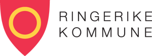 the_cloud_people-customer-ringerike_kommune