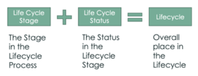 data model-Life Cycle